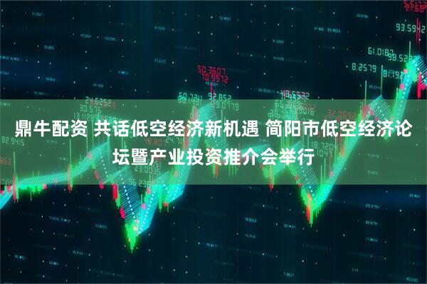 鼎牛配资 共话低空经济新机遇 简阳市低空经济论坛暨产业投资推介会举行